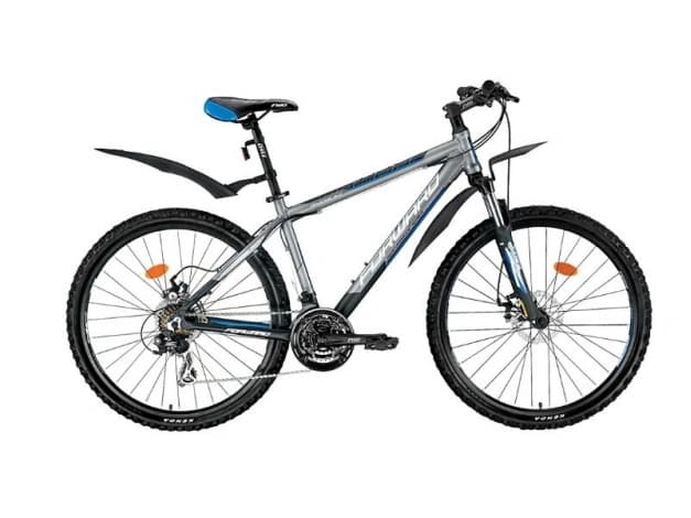 Forward APACHE 2.0 DISC grey (2015)