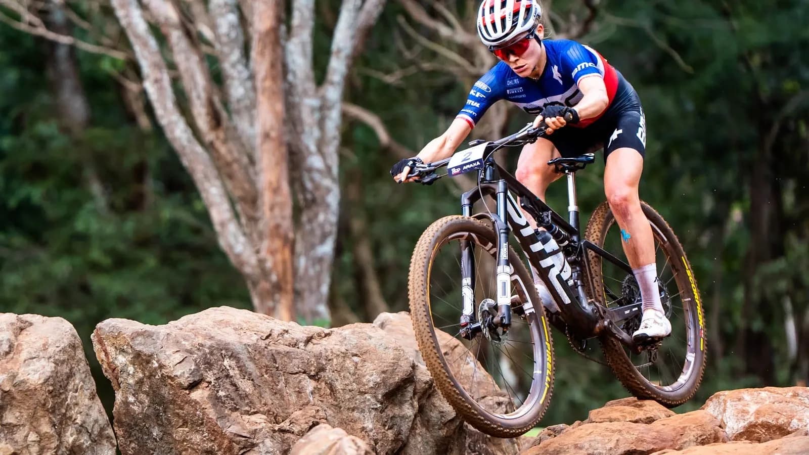 BMC Рама MTB BMC Fourstroke R 01 — фото 8